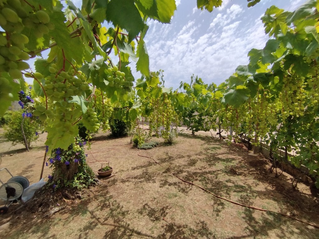 Giano Group Immobiliare